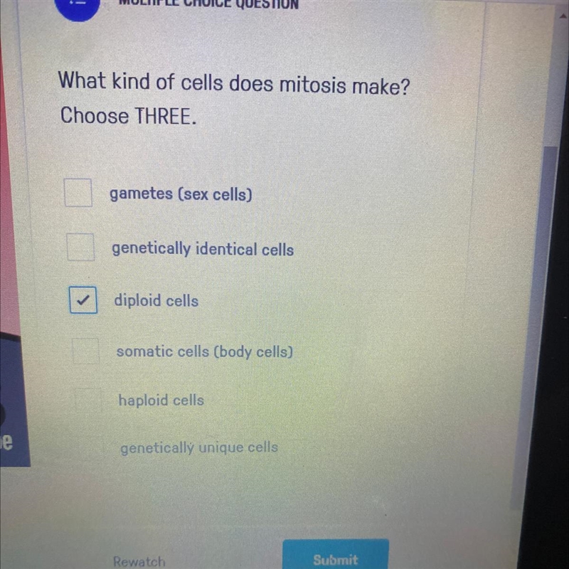 What kind of cells does mitosis make? Choose THREE.-example-1