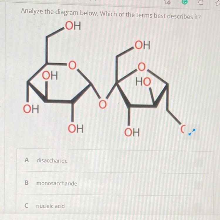 Somebody help me please-example-1