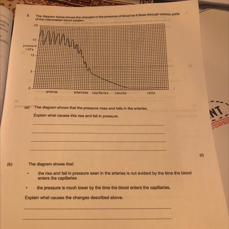 Please help me with question 3 part a . Thank you :))-example-1