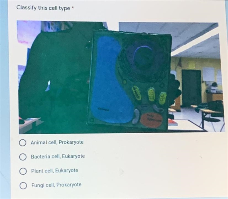 Classify this cell type Animal cell, prokaryote Bacteria cell, Eukaryote Plant cell-example-1