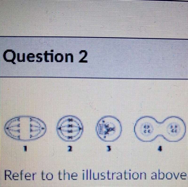 Refer to the illustration above. Which of the following correctly indicates the order-example-1