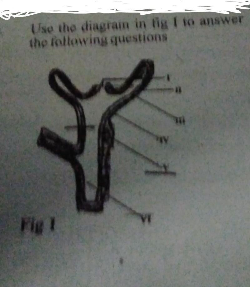 I was wondering what kind of organism this is and could u also help me name the labelled-example-1