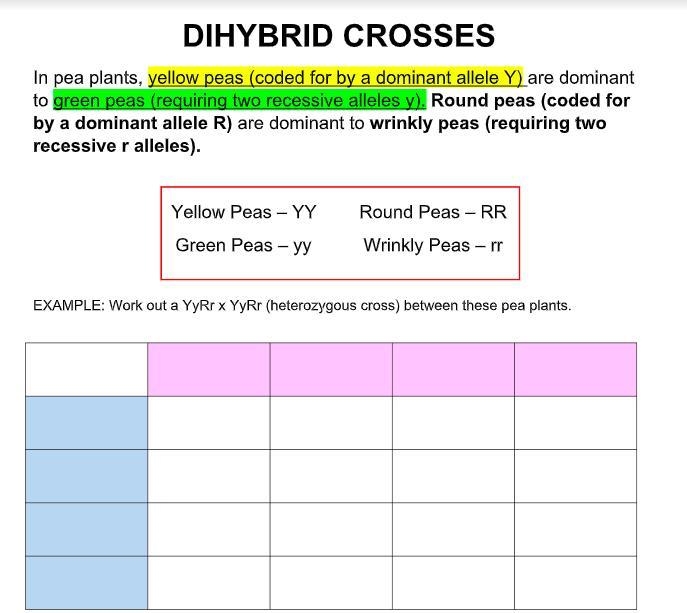 Please help me !! dihybrid crosses-example-1