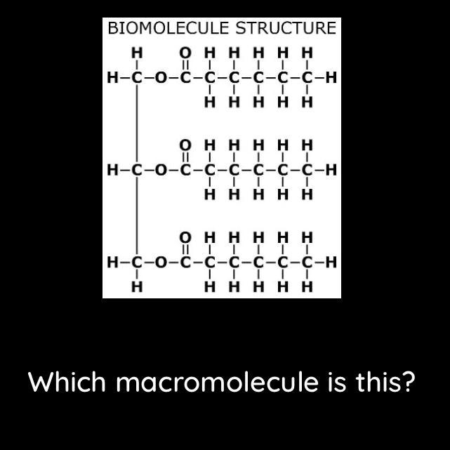 Is it lipids , carbohydrate, protein , or nucleic acid ? Please hurry !-example-1