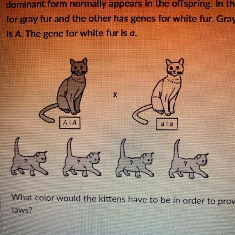 According to Gregor Mendel’s laws of genetics inheritance, when two parents have different-example-1