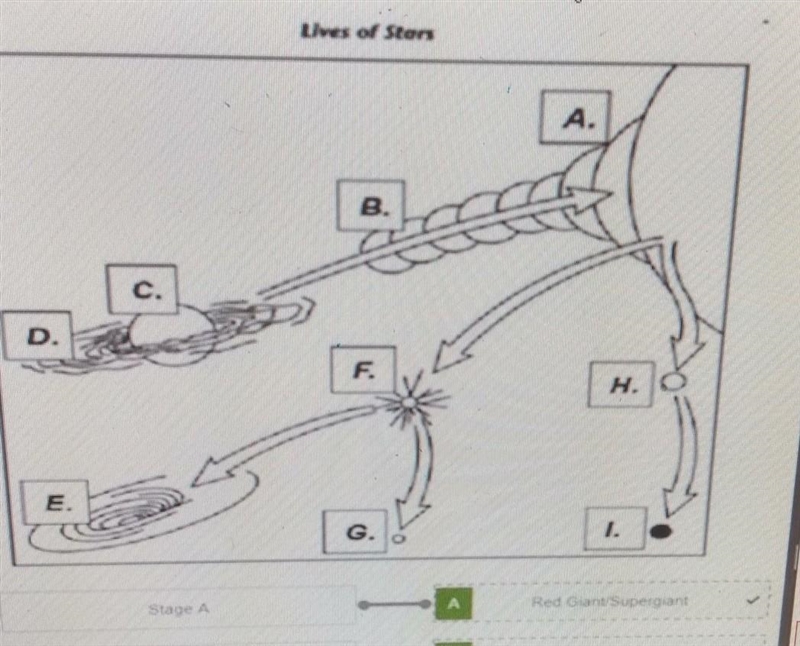 Indentify each stage on the diagram with the name of the stage? PLEASE HELP ​-example-1