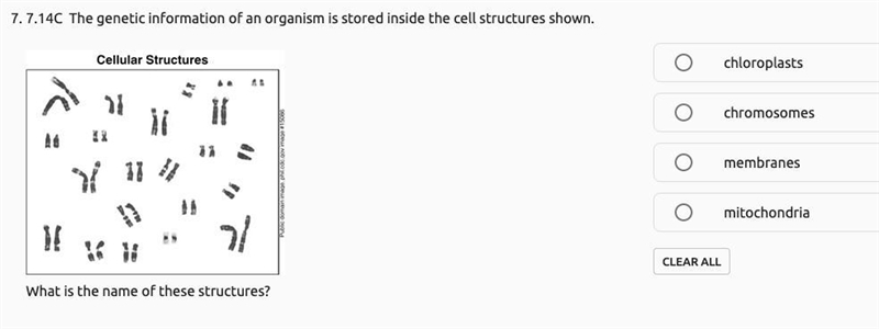 Please help me with this simple q ty-example-1