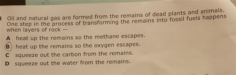 Oil and natural gases are formed from the remains from the remains of dead plants-example-1