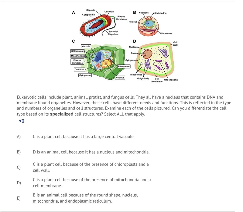 Someone please answer this question-example-1