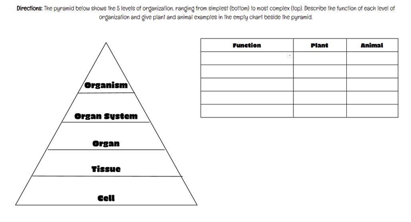 Help Pls! Directions: The pyramid shows the 5 levels of organization, ranging from-example-1