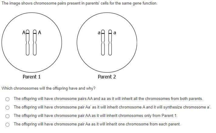 PLEASE HELP I BEG OF YOU-example-1