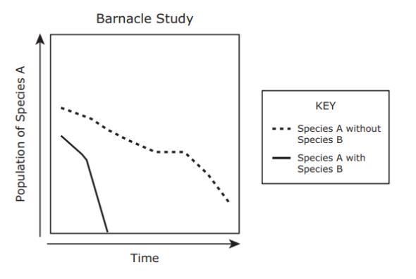 A scientist named Joseph Connell studied two species of barnacles on the shore of-example-1