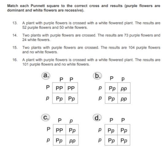 I need help with this!! Questions are in the picture!! Feel free to only do 1 or 2 questions-example-1