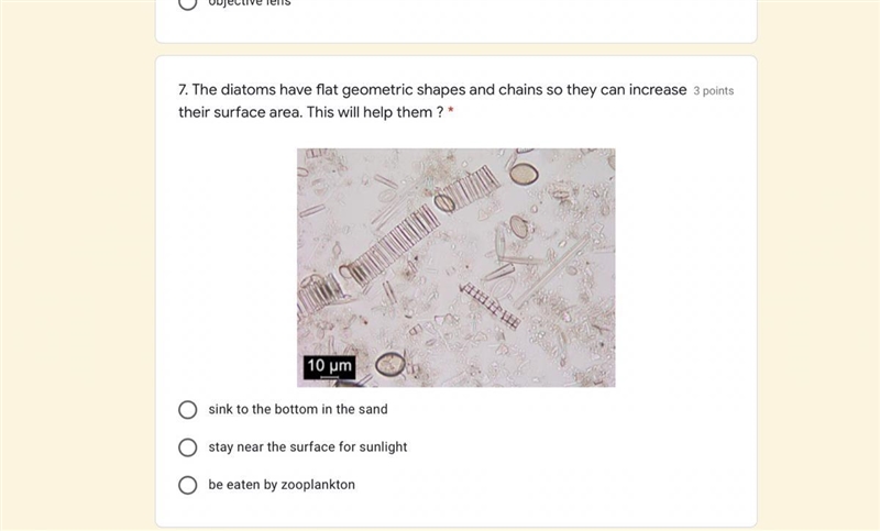 The diatoms have flat geometric shapes and chains so they can increase their surface-example-1