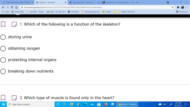 . Which of the following is a function of the skeleton?-example-1