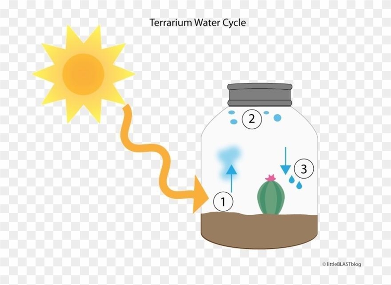 Look at the diagram of the water cycle model above. What is one part of the water-example-1