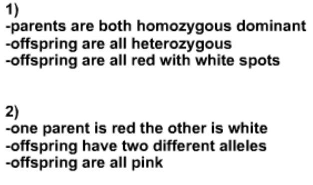 Which example shows complete dominance? (See Image Below) A. neither 1 nor 2 B. 2 C-example-1