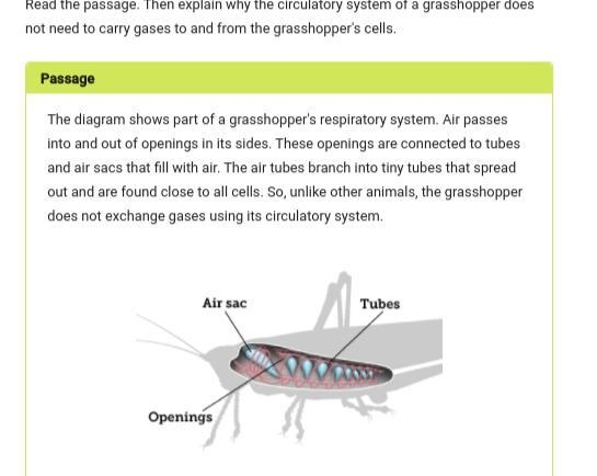 Um help me please:) Thanks-example-1