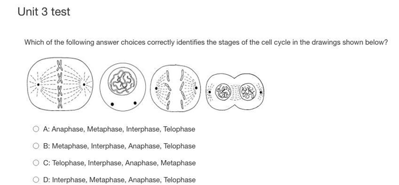 HELP ME AGAINN I'LL GIVE 17 POINTS --example-1