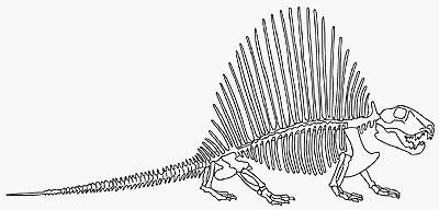 Here is a drawing of a skeleton. Copy the drawing onto a separate piece of paper. Use-example-1