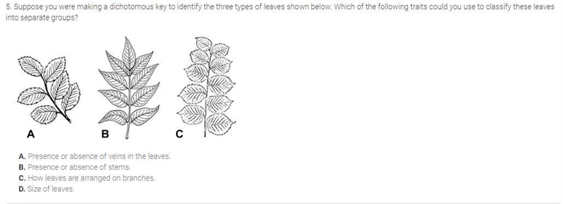 Question 5 options: A . Presence or absence of veins in the leaves. B . Presence or-example-1