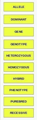 Due before 3:05 pm central time today. Having two identical alleles of a particular-example-1