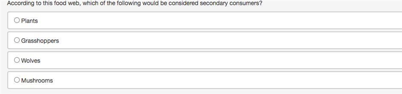 Please help I don't understand-example-2