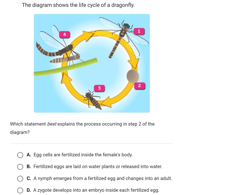 EXPERT HELP: EXPLAIN THE ANSWER PLEASE-example-1