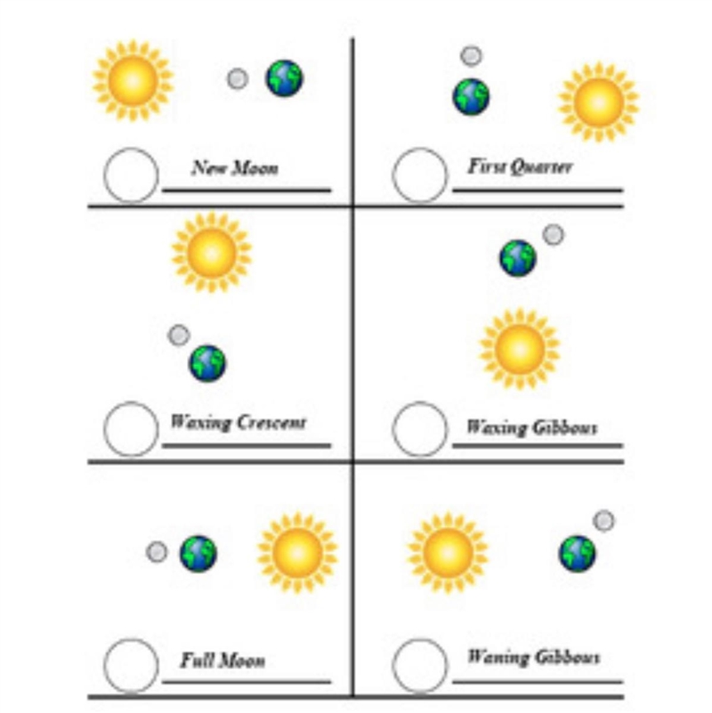 Identify the moon phase represented by each illustration. Then draw what each phase-example-1