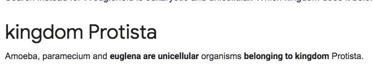 A euglenoid is eukaryotic and unicellular. Which kingdom does it belong in?-example-1