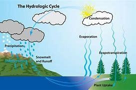 If water molecules changed into a new kind of molecule during a phase change, would-example-1