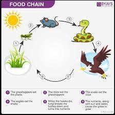 A short paragraph about the ecosystems​-example-2