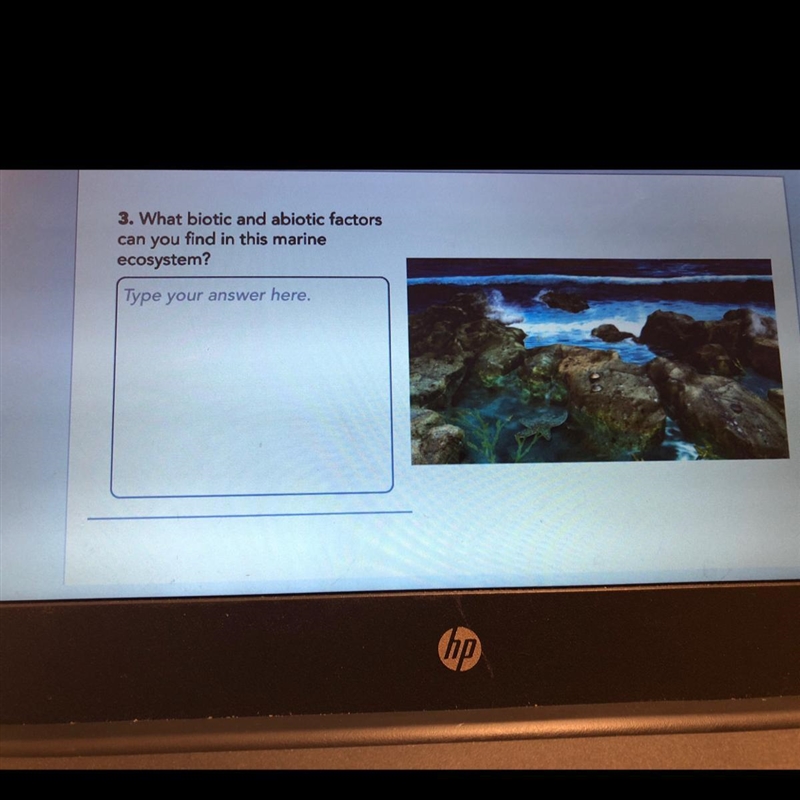 3. What biotic and abiotic factors can you find in this marine ecosystem? Pls don-example-1