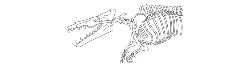 Below is a drawing of a fossil that is millions of years old. This fossil was just-example-3