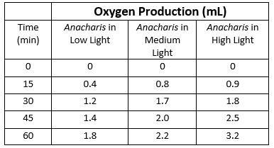 Three Anacharis plants were placed inside inverted test tubes filled with water. One-example-1