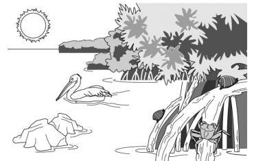 The picture below shows a mangrove ecosystem. In this ecosystem, pelicans nest in-example-1