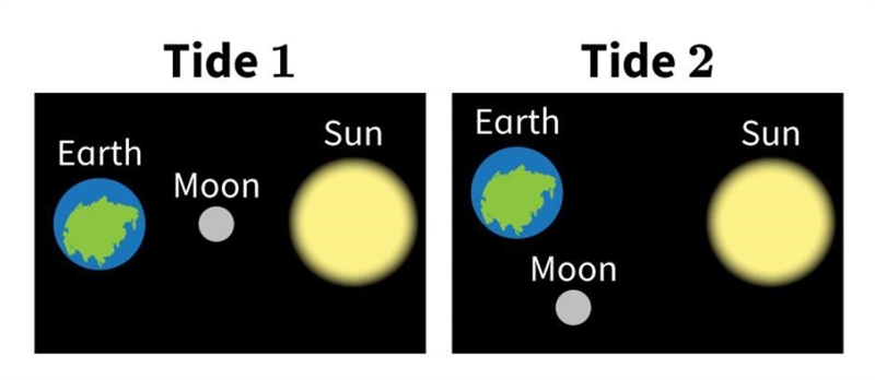 What tides occur on Earth in each of these images? A. Tide 1 shows a neap tide. Tide-example-1