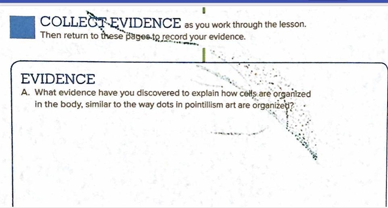 What evidence have you discovered to explain how cells are organized in the body, similar-example-1