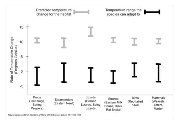 What are the light gray lines in the graph showing? Provide EXAMPLES What are the-example-1