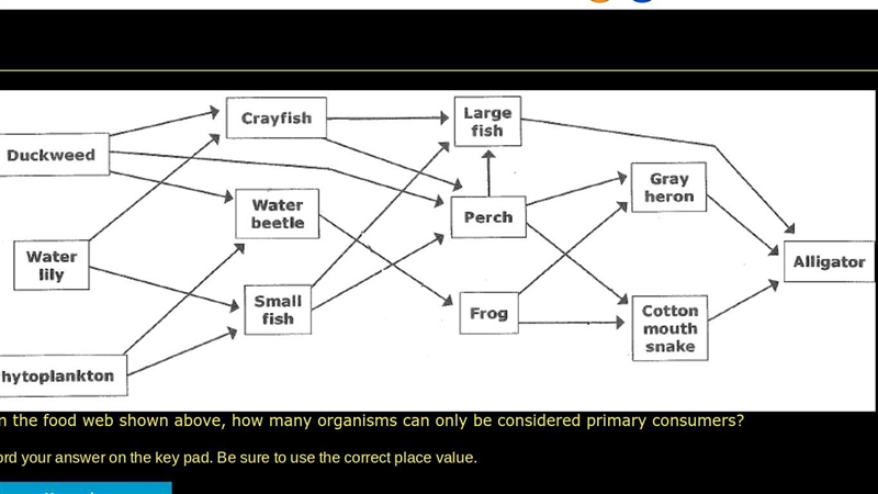 HELP plssss asap plsssss From the food web shown above, how many organisms can only-example-1