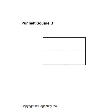 Lad Heredity and Punnett Squares-example-2