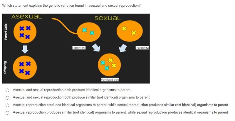 What is the answerrrss-example-2