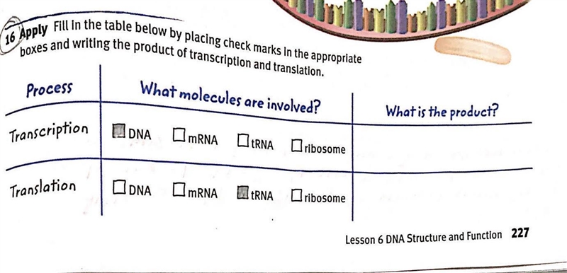 16. Apply: Fill in the table below by placing checkmarks in the appropriate boxes-example-1