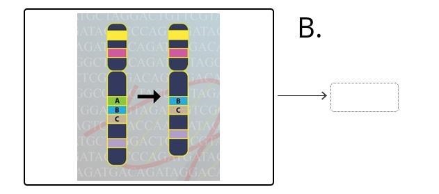 Drag the tiles to the correct boxes to complete the pairs. Match the sequences with-example-2