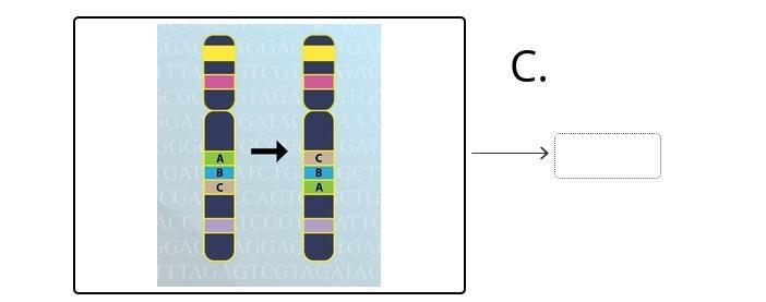 Drag the tiles to the correct boxes to complete the pairs. Match the sequences with-example-3