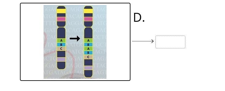 Drag the tiles to the correct boxes to complete the pairs. Match the sequences with-example-4