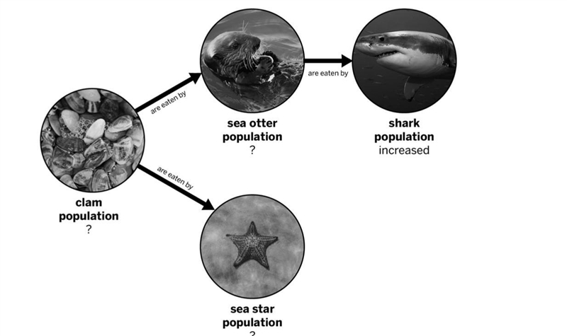 Scientists have been studying four populations in the ocean near Alaska. In the ocean-example-1