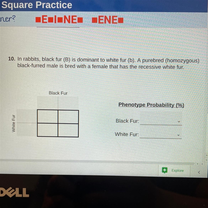 HELP what do you put into the punnett square and what is the percent of black and-example-1