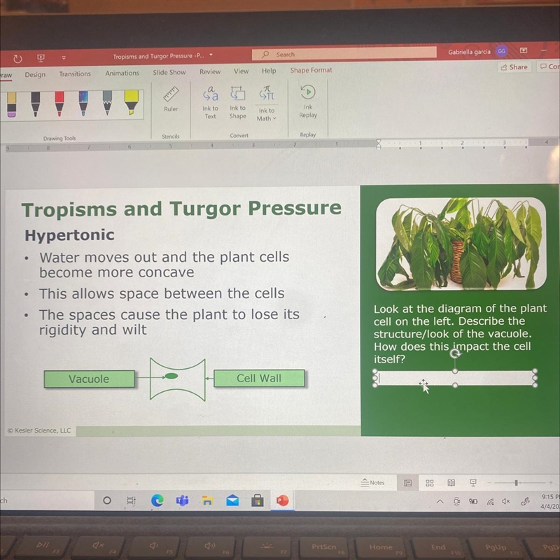 Please help me with this-example-1