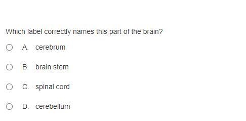 Last Question Of The Day!-example-2